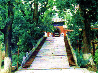 �t�����L(f��ng)���D