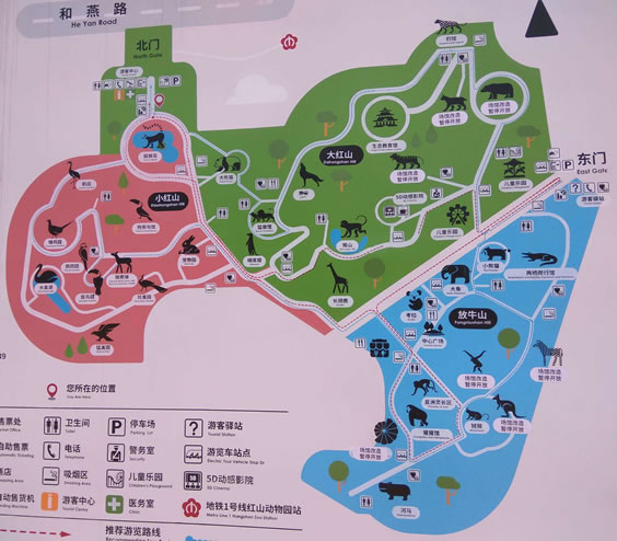 �Ͼ��tɽɭ�ք�(d��ng)��@��(d��o)�ΈD