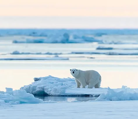 ���O����ل�(chu��ng)�¸�